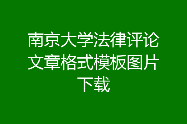 南京大学法律评论文章格式模板图片下载