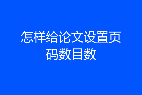怎样给论文设置页码数目数