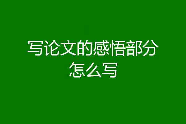 写论文的感悟部分怎么写
