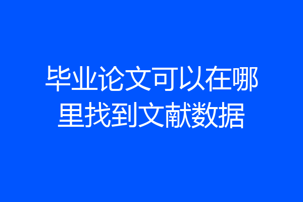 毕业论文可以在哪里找到文献数据