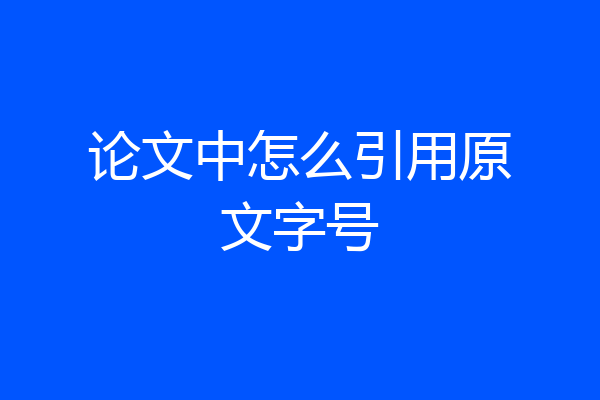 论文中怎么引用原文字号