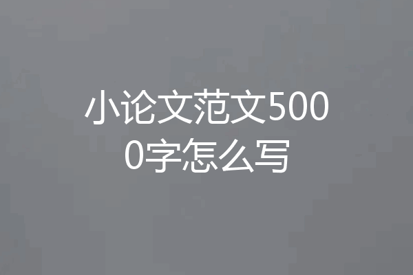 小论文范文5000字怎么写