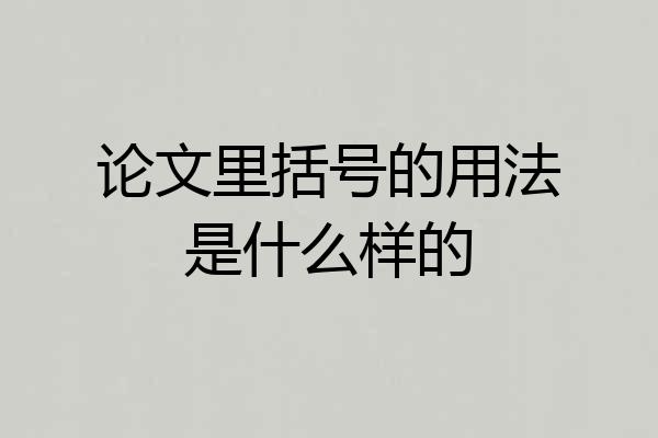 论文里括号的用法是什么样的