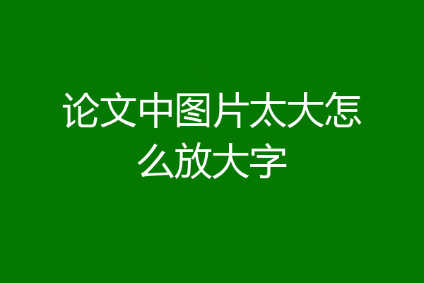 论文中图片太大怎么放大字