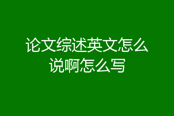 论文综述英文怎么说啊怎么写