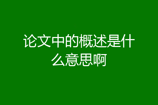 论文中的概述是什么意思啊