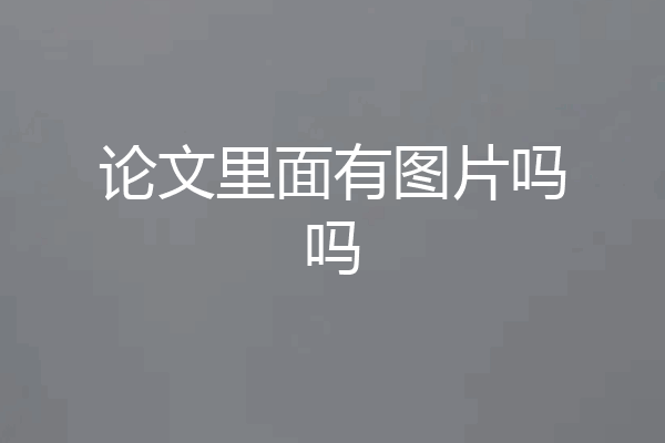 论文里面有图片吗吗