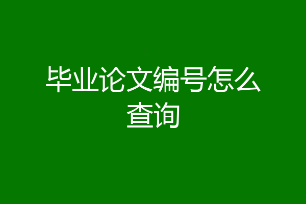 毕业论文编号怎么查询