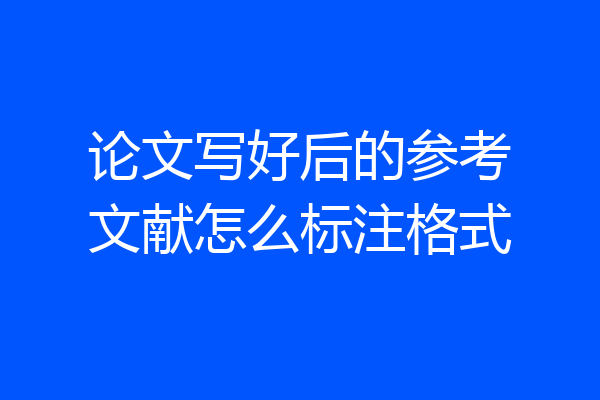 论文写好后的参考文献怎么标注格式