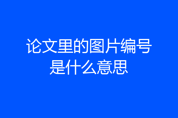 论文里的图片编号是什么意思