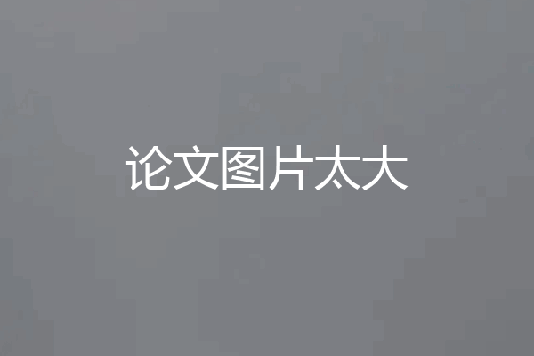 论文图片太大