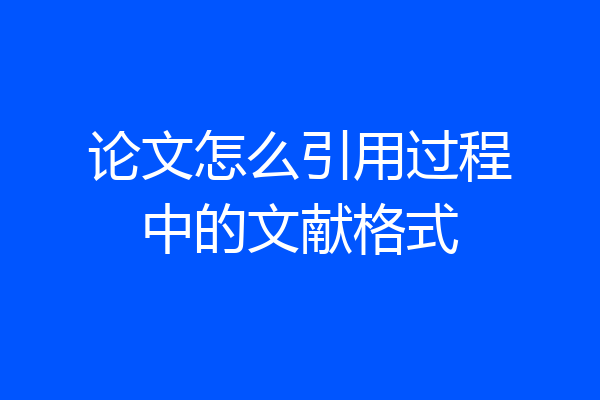 论文怎么引用过程中的文献格式
