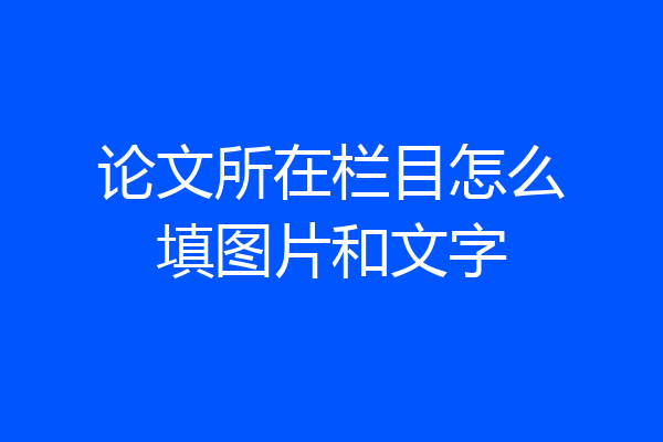 论文所在栏目怎么填图片和文字