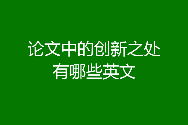 论文中的创新之处有哪些英文