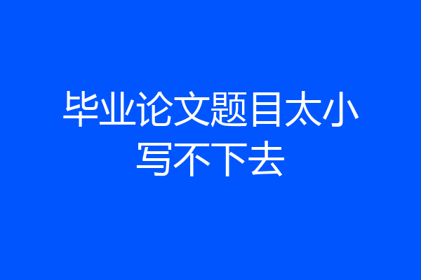 毕业论文题目太小写不下去