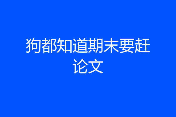 狗都知道期末要赶论文
