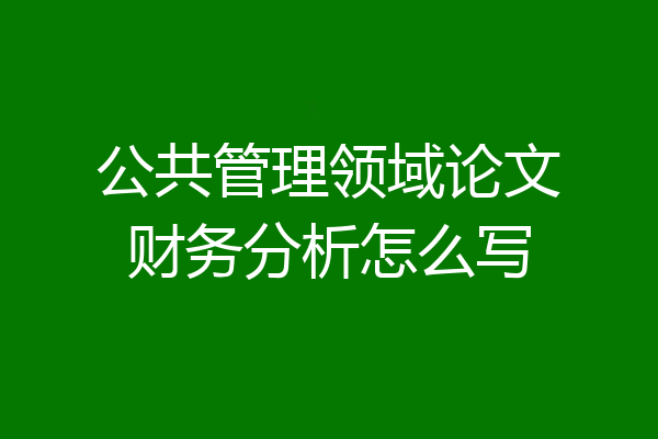 公共管理领域论文财务分析怎么写