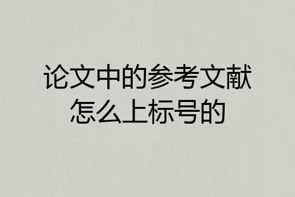 论文中的参考文献怎么上标号的