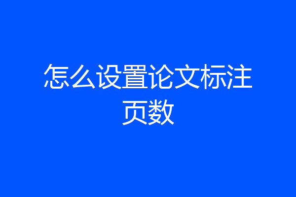 怎么设置论文标注页数