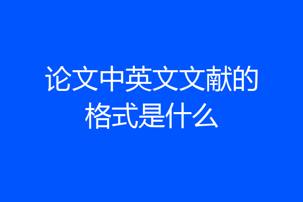 论文中英文文献的格式是什么