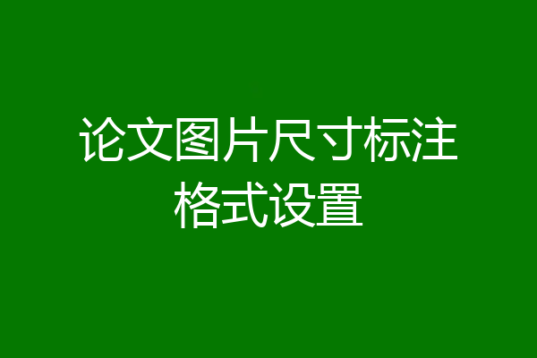 论文图片尺寸标注格式设置