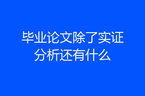 毕业论文除了实证分析还有什么