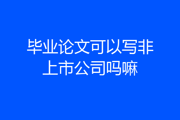 毕业论文可以写非上市公司吗嘛