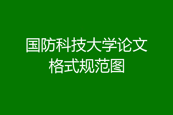 国防科技大学论文格式规范图