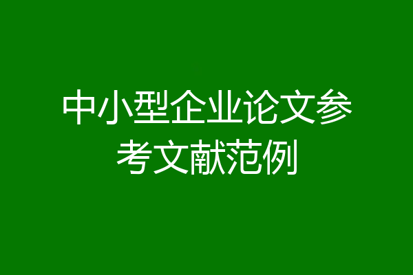中小型企业论文参考文献范例