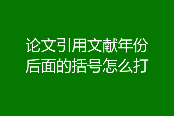 论文引用文献年份后面的括号怎么打