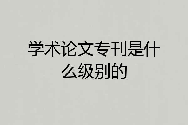 学术论文专刊是什么级别的