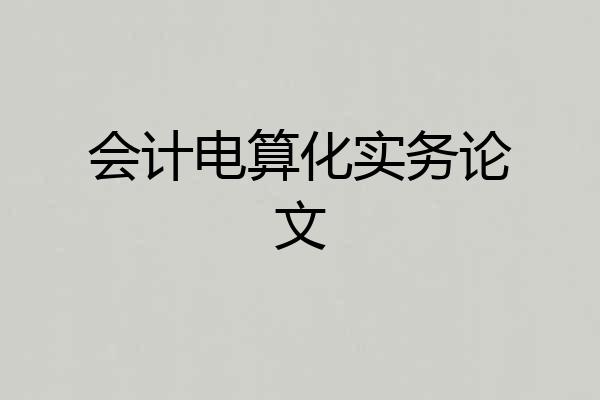 会计电算化实务论文