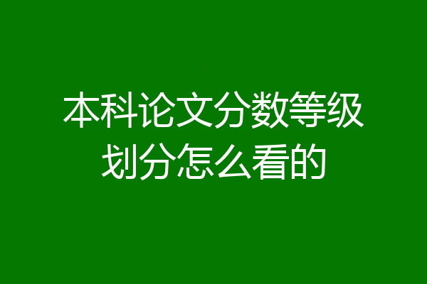 本科论文分数等级划分怎么看的