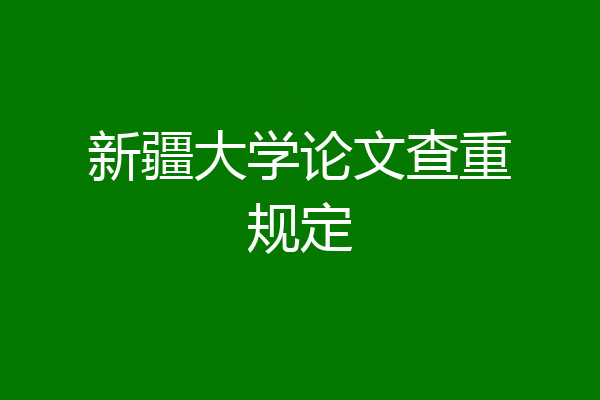 新疆大学论文查重规定
