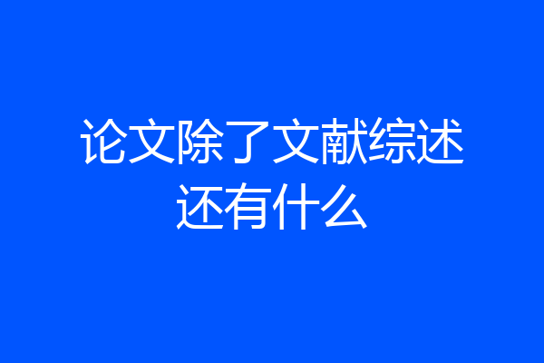 论文除了文献综述还有什么