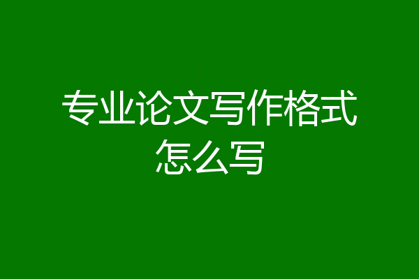 专业论文写作格式怎么写