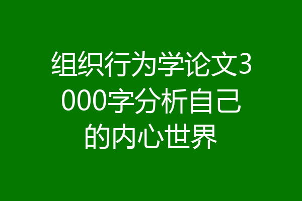 组织行为学论文3000字分析自己的内心世界