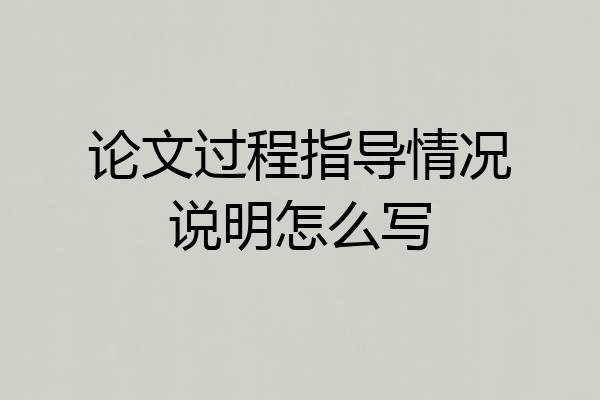 论文过程指导情况说明怎么写