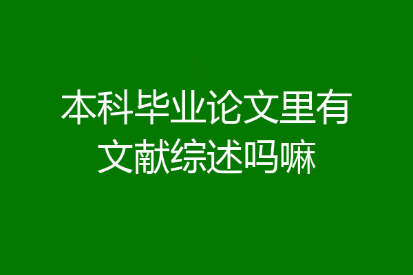 本科毕业论文里有文献综述吗嘛