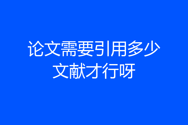 论文需要引用多少文献才行呀
