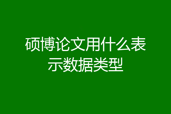 硕博论文用什么表示数据类型