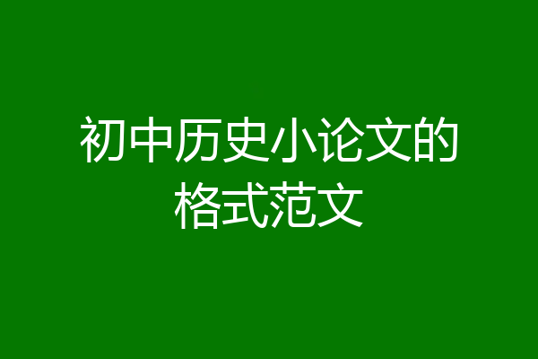 初中历史小论文的格式范文
