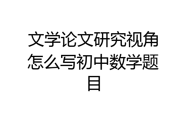 文学论文研究视角怎么写初中数学题目
