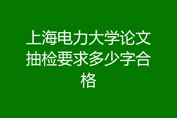 上海电力大学论文抽检要求多少字合格