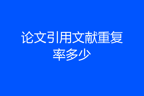 论文引用文献重复率多少