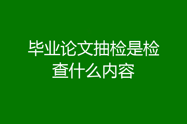 毕业论文抽检是检查什么内容