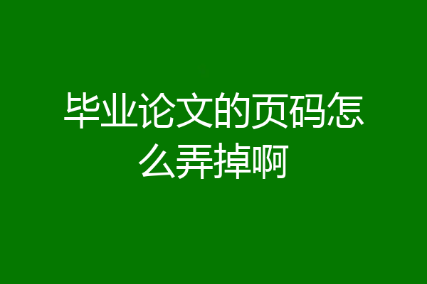 毕业论文的页码怎么弄掉啊
