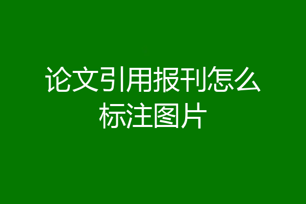 论文引用报刊怎么标注图片
