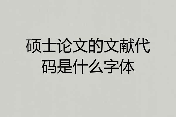 硕士论文的文献代码是什么字体