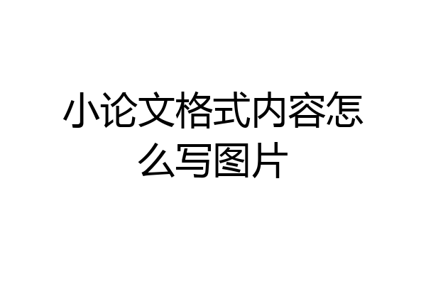 小论文格式内容怎么写图片